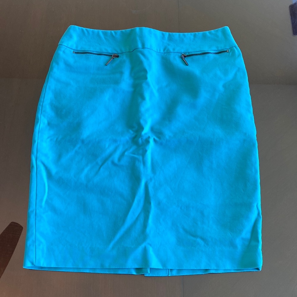 Calvin Klein Skirt- Size 2